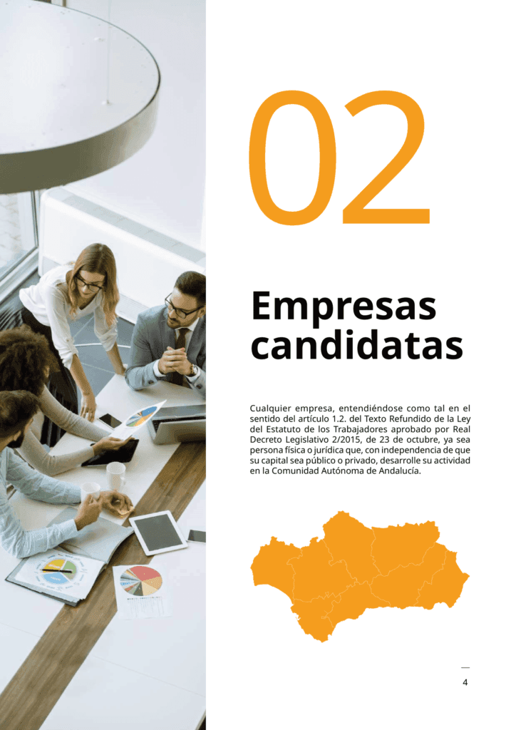 Documento_informativo_MAEI_empresas-04