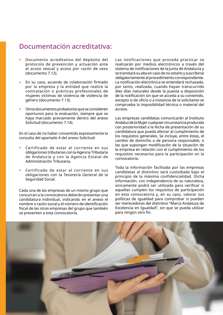 Documento_informativo_MAEI_empresas-09