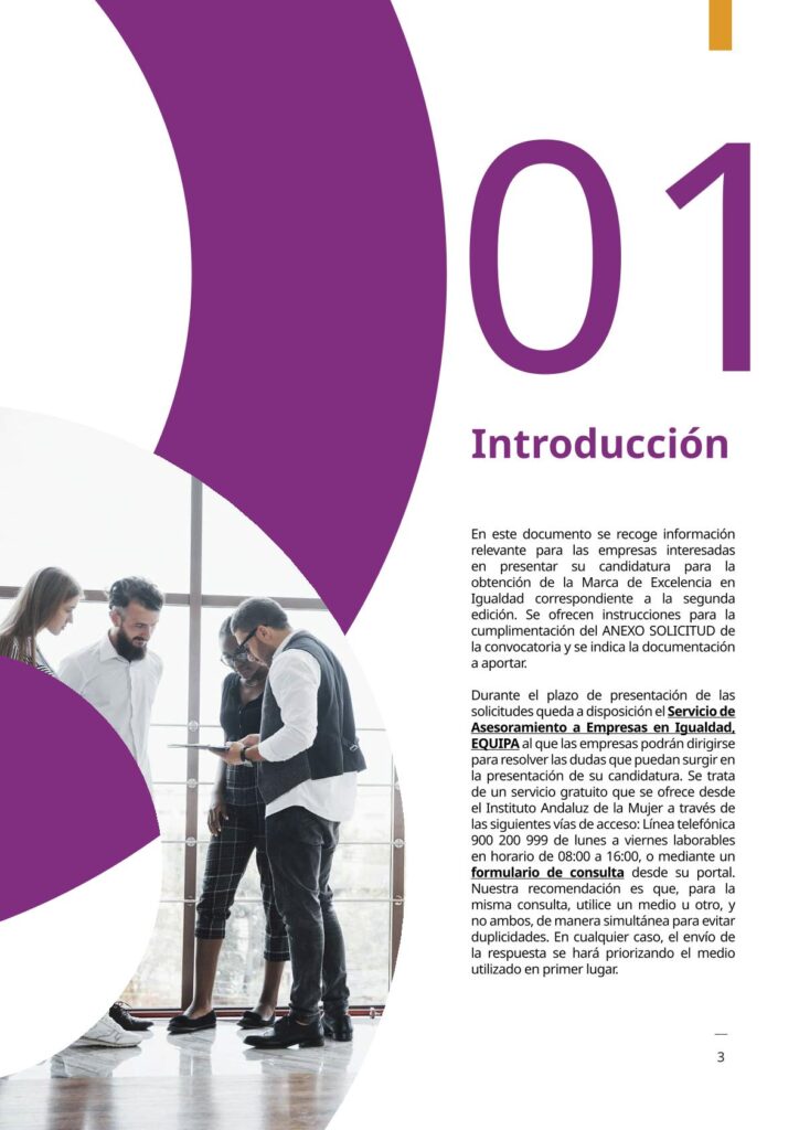 IAM_Documento_informativo_MAEI_empresas-v2-03