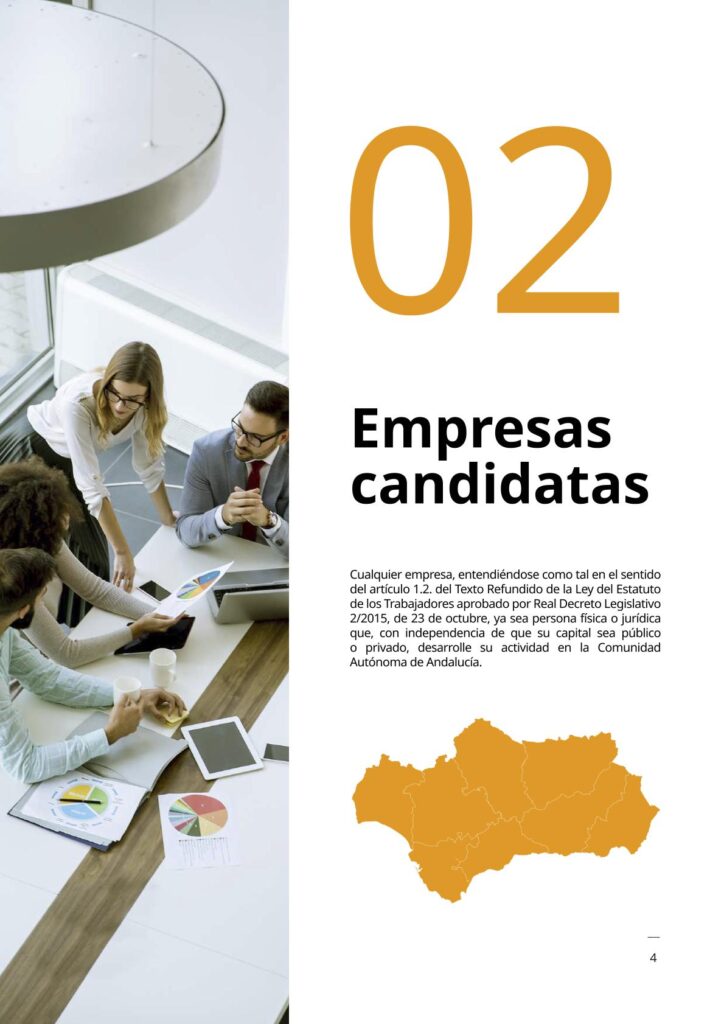 IAM_Documento_informativo_MAEI_empresas-v2-04