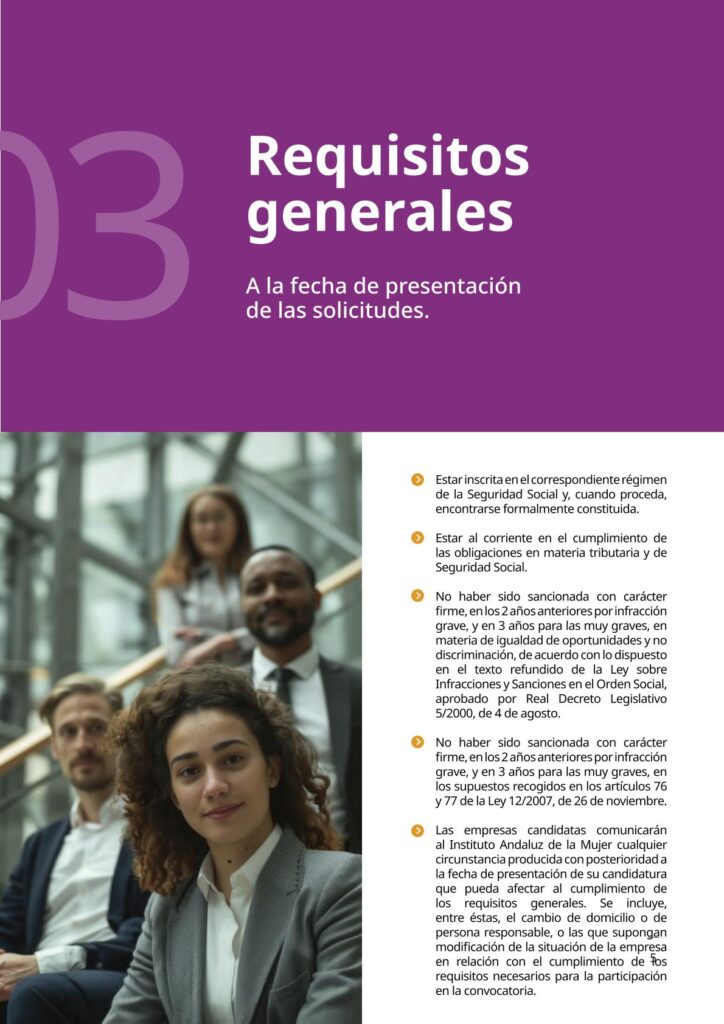 IAM_Documento_informativo_MAEI_empresas-v2-05