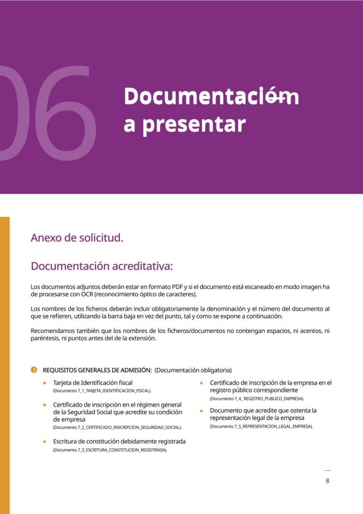 IAM_Documento_informativo_MAEI_empresas-v2-08
