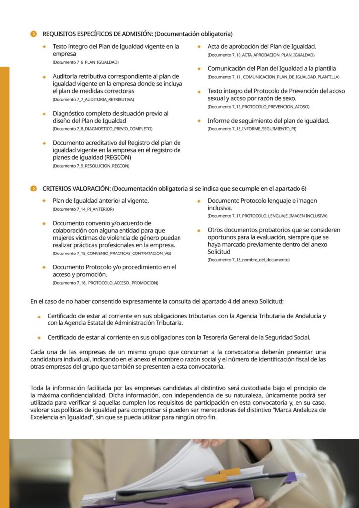 IAM_Documento_informativo_MAEI_empresas-v2-09