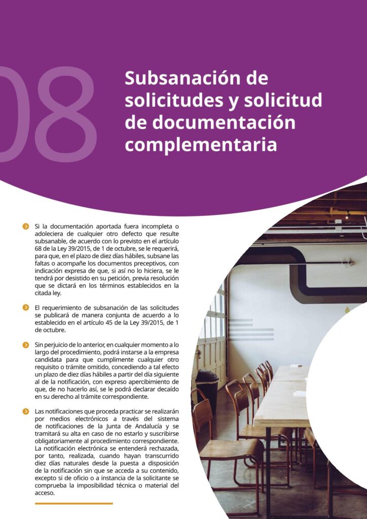 IAM_Documento_informativo_MAEI_empresas-v2-12