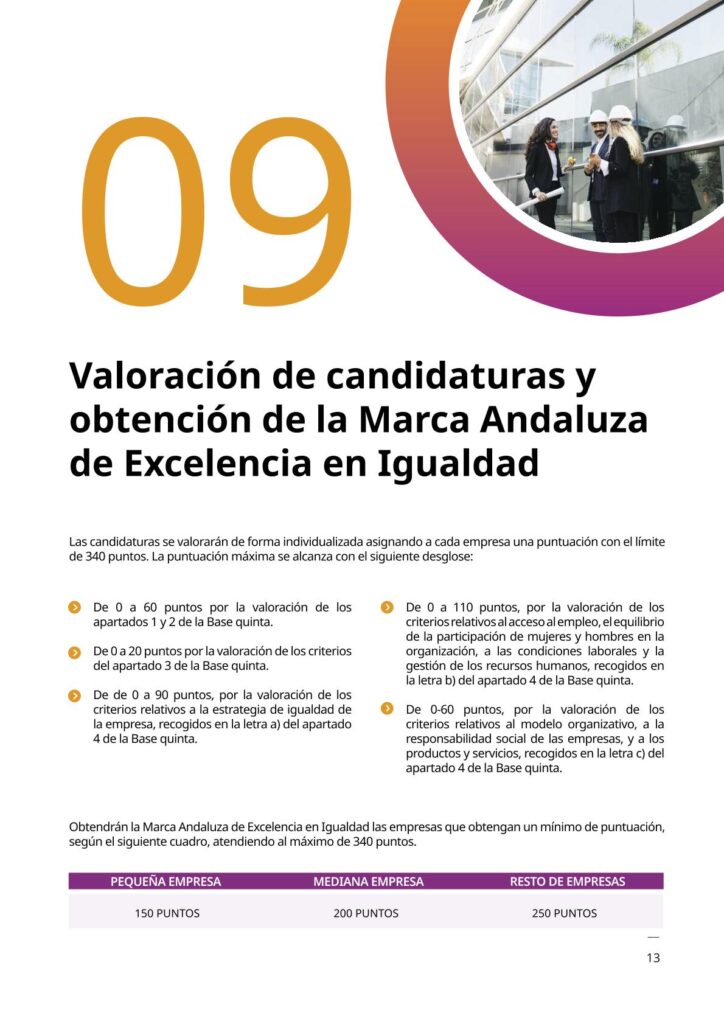 IAM_Documento_informativo_MAEI_empresas-v2-13