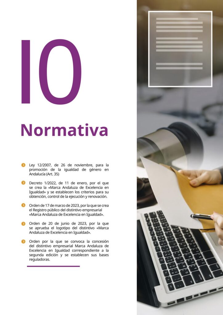 IAM_Documento_informativo_MAEI_empresas-v2-15